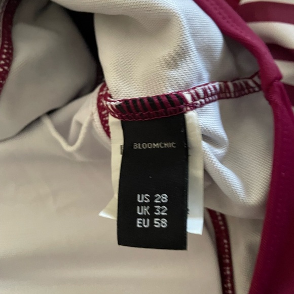 BloomChic Burgundy and White Striped Swim Dress - Picture 3 of 9